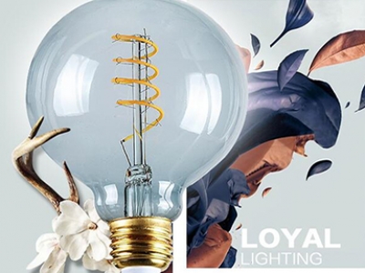 廣東萊亞智能光電